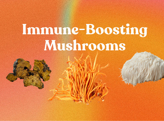 Best Mushrooms for Boosting Immunity