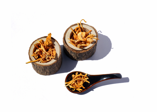 The Top 10 Benefits of Cordyceps that Support Your Health & Wellness