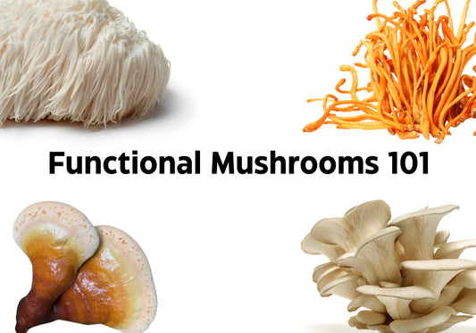 Functional Mushrooms 101